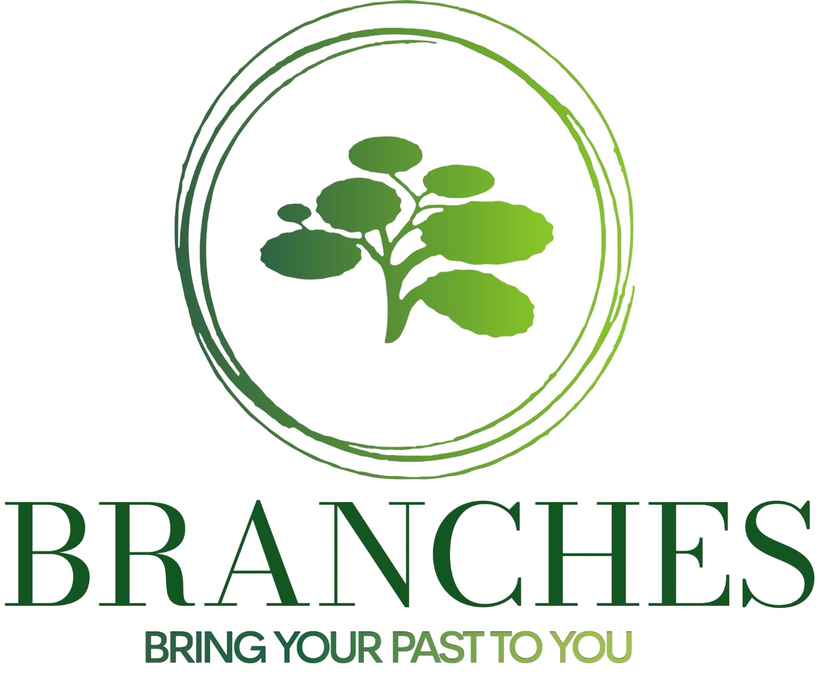 Branches Logo