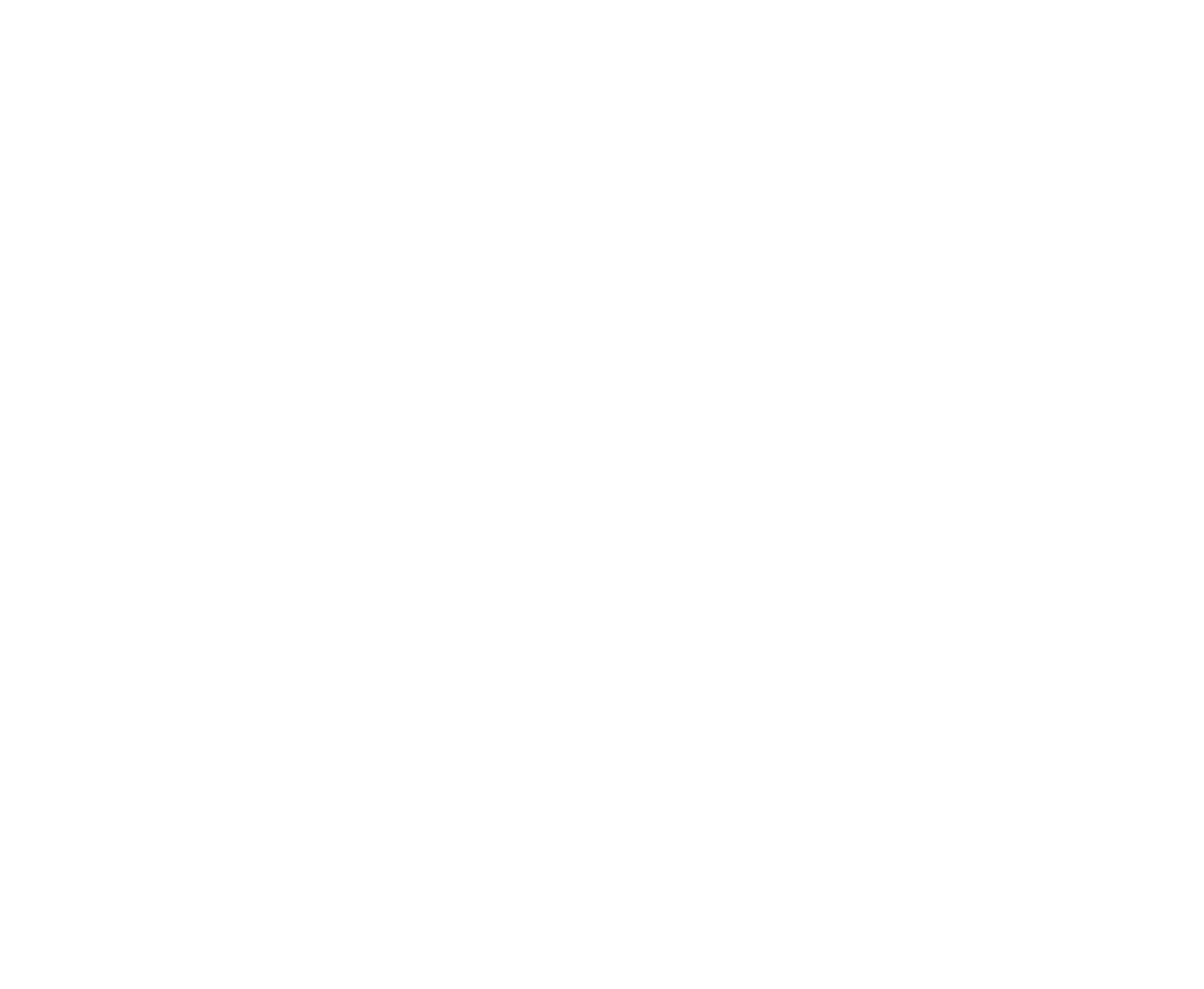 Branches Logo